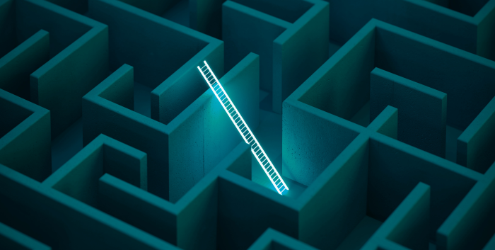Maze, illuminated ladder